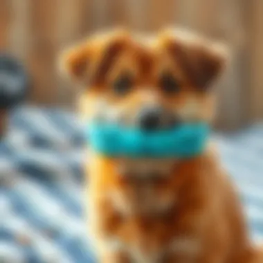 The Comprehensive Examination of Big Pooper Scoopers: A Necessity for Pet Owners Summary