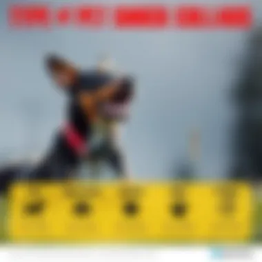 Types of Pet Shock Collars An infographic displaying the different types of pet shock collars