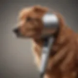 Sleek Dog Hair Dryer Machine with Advanced Technology