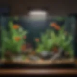 Illustration of a battery-operated fish tank heater in a vibrant aquarium setting