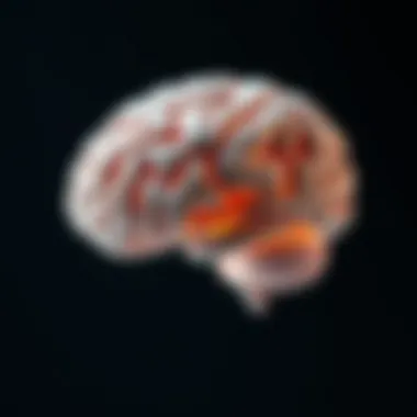 Anatomy of a Canine Brain with Tumor Locations Anatomy of a dog's brain highlighting tumor locations