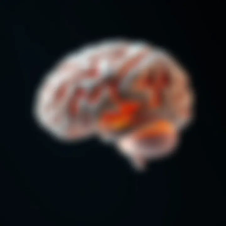 Anatomy of a Canine Brain with Tumor Locations Anatomy of a dog's brain highlighting tumor locations