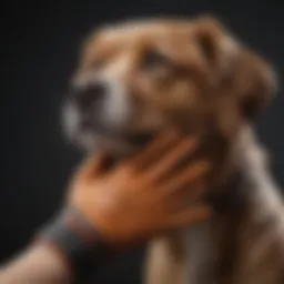 A close-up of a dog petting glove showcasing its textured surface and flexible design