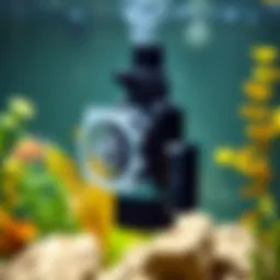 Detailed diagram of a fish aquarium filter pump