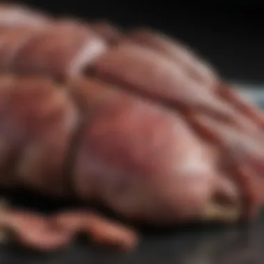 Diagram showing symptoms of elevated liver enzymes in dogs