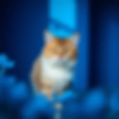 Cat in a blue enriched environment