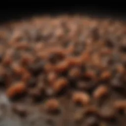 Close-up view of puppy feces showing signs of worms