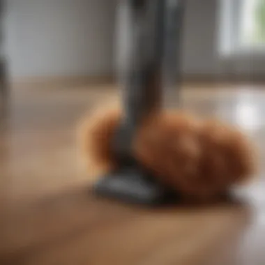 Vacuum Cleaner for Pet Hair Removal