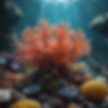 Vibrant Coral Reef in Aquarium