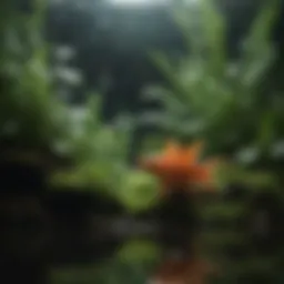Lush Greenery in Planted Aquarium