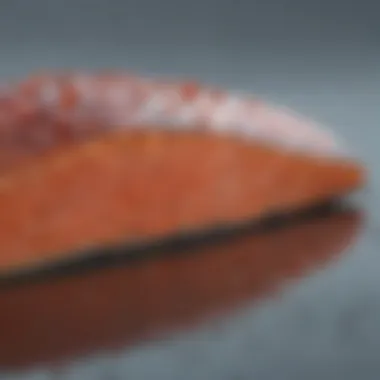Sustainably Sourced Salmon Component for Optimal Nutrition Nutrient-Rich Salmon Component