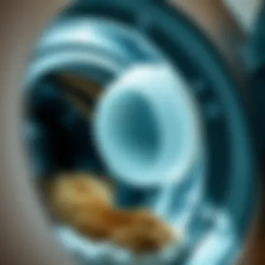 Efficient Hair Catcher in Action A close-up view of a washer hair catcher installed in a washing machine